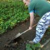 Projekt „s chuťou do záhrady“ v rámci environmentálneho programu zelené oči - 241179098 257317826253417 7031262318843956252 n