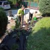 Projekt „s chuťou do záhrady“ v rámci environmentálneho programu zelené oči - 241208296 195828309197397 8901692668563206531 n 1 
