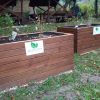 Projekt „s chuťou do záhrady“ v rámci environmentálneho programu zelené oči - 244642192 303031767849875 2759611723686304094 n