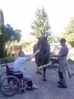 Stretnutie s jedným gaštanovým koňom