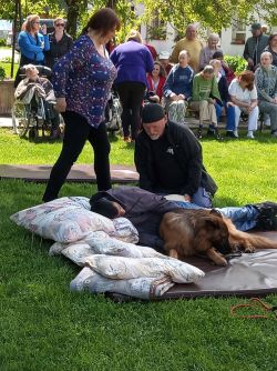 IMG_20190517_110349