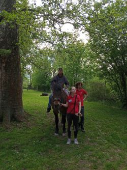 IMG_20190517_113448
