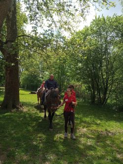 IMG_20190517_113750
