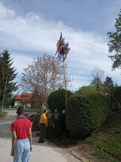 IMG_20190426_101433