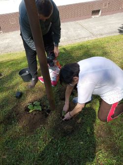 IMG_20200604_102947
