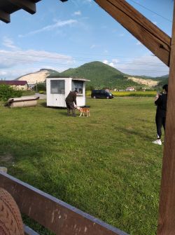 IMG_20210602_171854