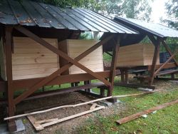Projekt „s chuťou do záhrady“ v rámci environmentálneho programu zelené oči - 241057819 172343134977806 1862431729645331817 n