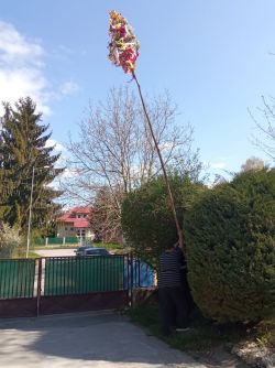 Stavanie mája v CSS – KOLONKA