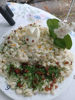 Img 20240522 104427