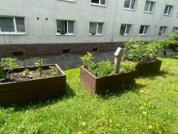 Naše zariadenie - IMG-20240627-WA0157