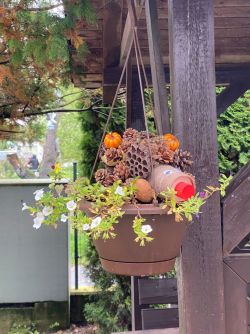 IMG-20241009-WA0008