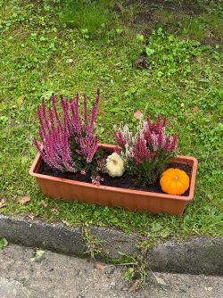 IMG-20241009-WA0011