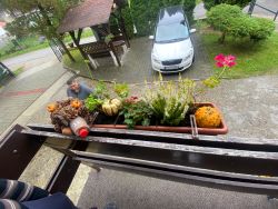 IMG-20241009-WA0013