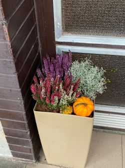 IMG-20241009-WA0016