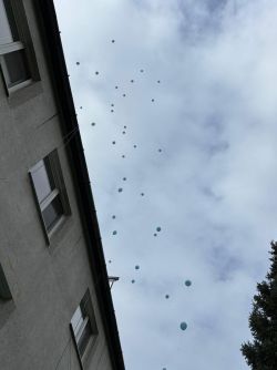 IMG-20241011-WA0002