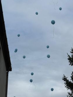 IMG-20241011-WA0006