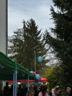IMG-20241011-WA0007