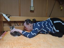 IMG_20241002_093440