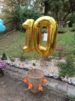 IMG_20241011_124347