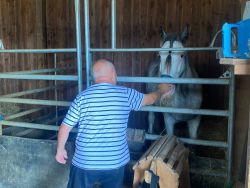 IMG-20240816-WA0014