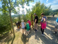 IMG-20240816-WA0036