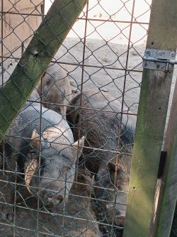IMG_20240816_095555