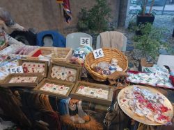 IMG_20241203_082504