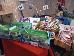IMG_20241203_082512