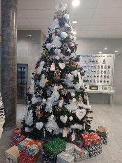 IMG_20241203_082937