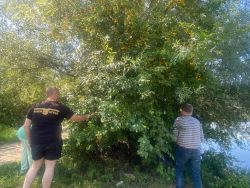 IMG-20240718-WA0005