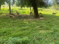 IMG-20240723-WA0024
