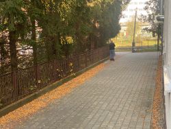 IMG-20241108-WA0061