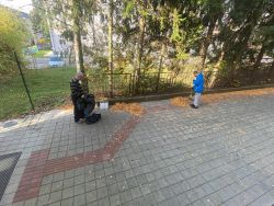 IMG-20241108-WA0062