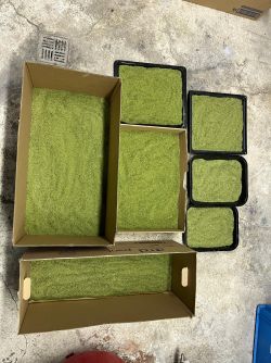 IMG-20260521-WA0011