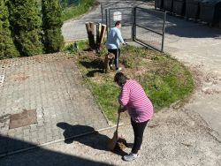 IMG-20260521-WA0058