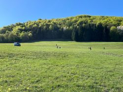 IMG-20260521-WA0115