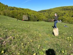 IMG-20260521-WA0117